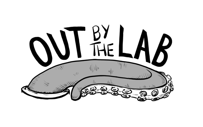 Out By The Lab