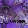 Go to ObsidianSoul's profile