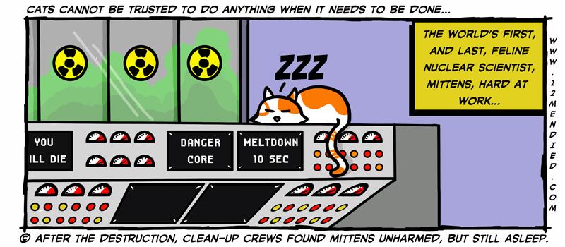 Never trust a cat...