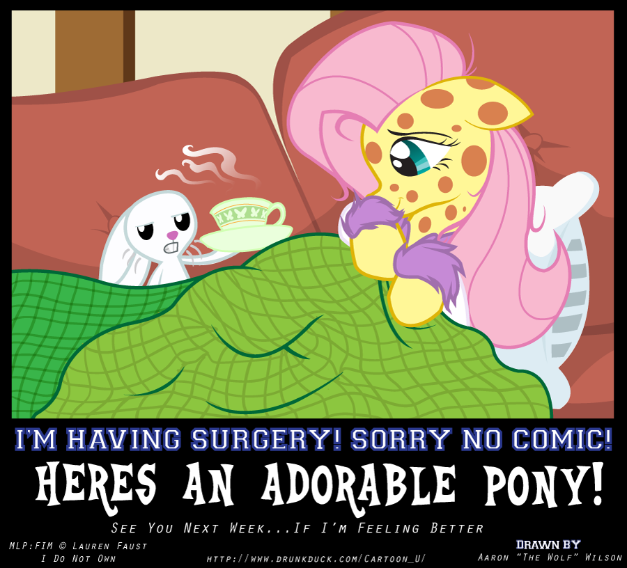 INTERLUDE: No Comic, Have Pony.