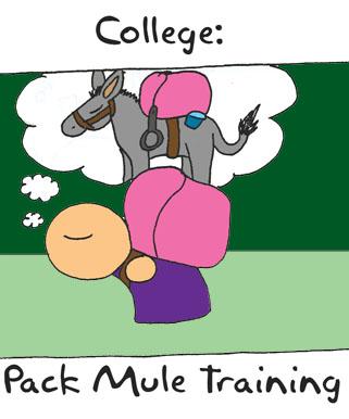 College Logic: Mule