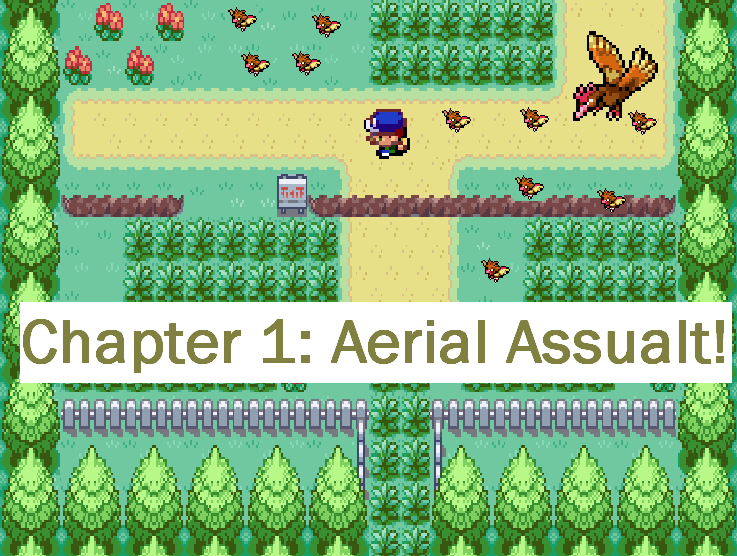 Chapter 1 (The REAL Deal): Aerial Assualt