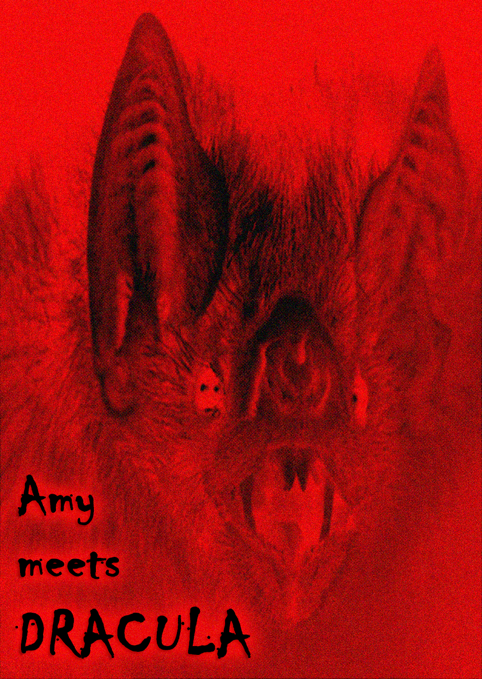 Amy meets Dracula-Cover