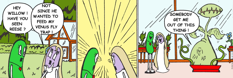 Venus Fly Trap