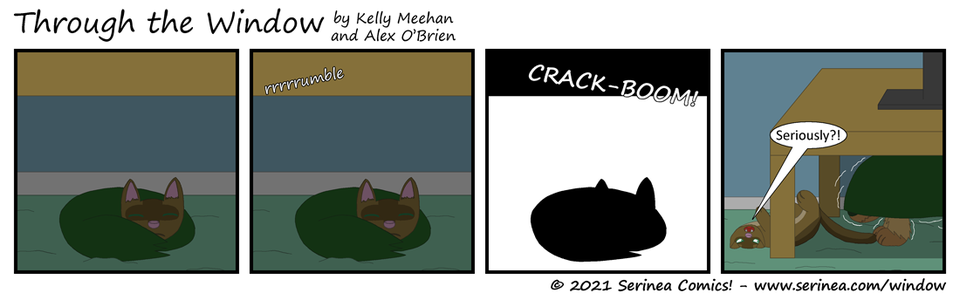 Page #289: "Seriously?!" (Intermission 9)