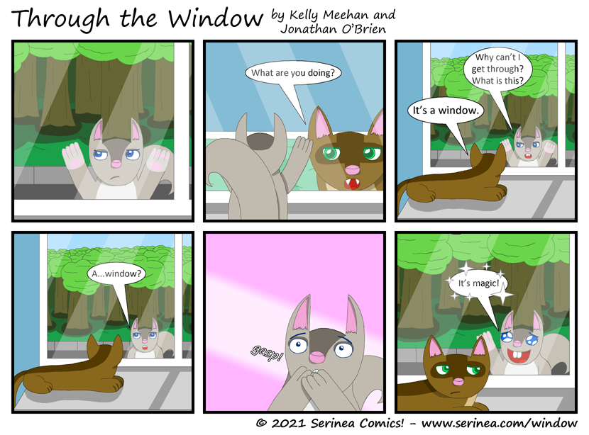 Page #262: "It's a window." (Through the Window)