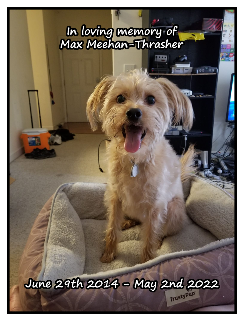 In loving memory of Max