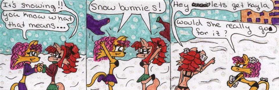 297. Snow Bunnies!