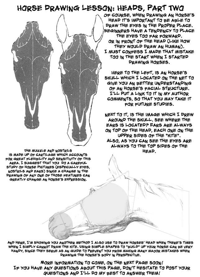 Horse drawing lesson, part 2