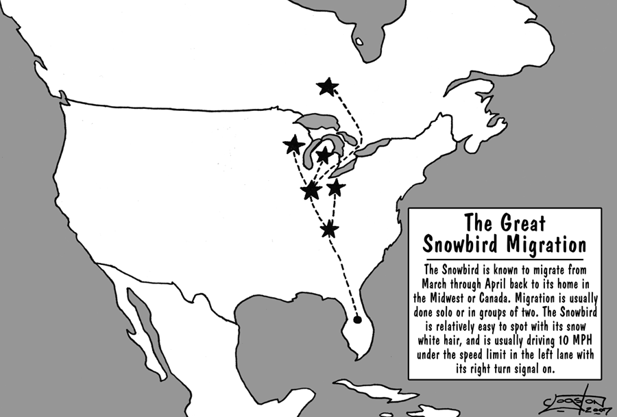 The Great Snowbird Migration