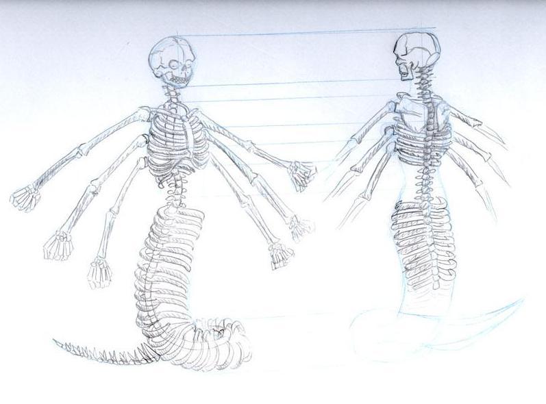 Fan Art: Skelleton!