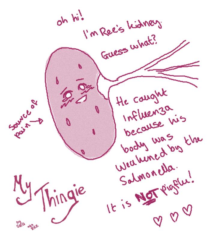 030 - KIDNEY