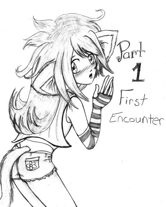 Chapter 1- First Encounter