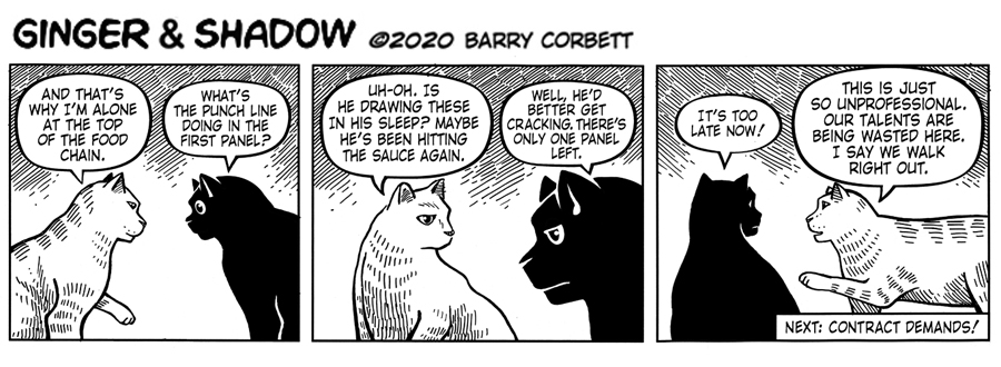 Self Aware Comics