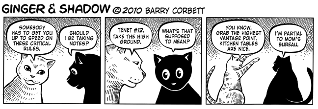 Kitty Code - Tenet Number 12