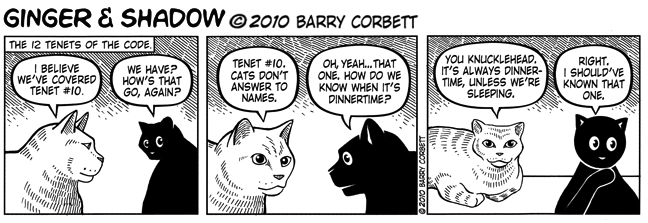 Tenet #10 - The Kitty Code