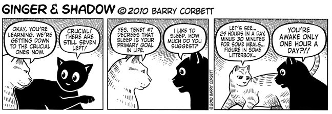 Tenet #7 - Thou Shalt Nap