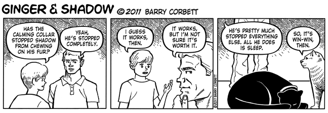 The Calm before the Calm