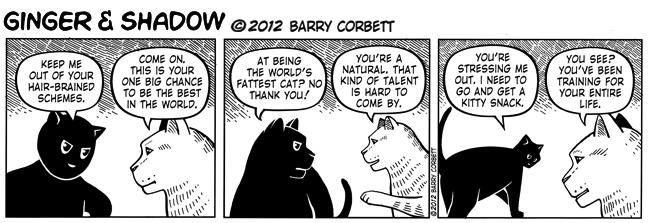 Time to Get in Shape