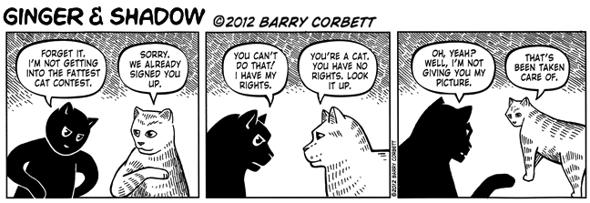 Who Needs Permission?