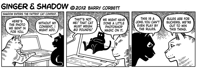 Rules Are Not for Cats.