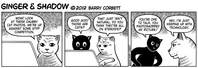 The Bulk of the Competition