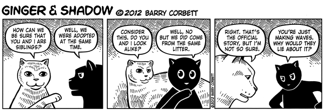 A Tale of Two Kitties