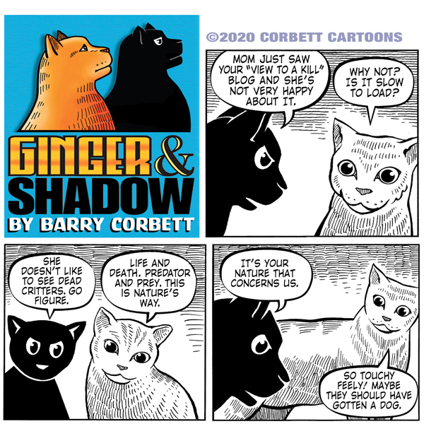 Cruel Blogs