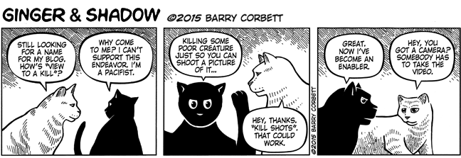 Killer Blog