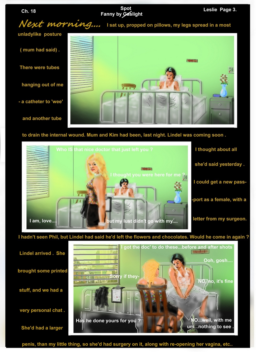 Ch. 18  Fanny by Gaslight  Leslie P 3  Who IS that nice doctor ?