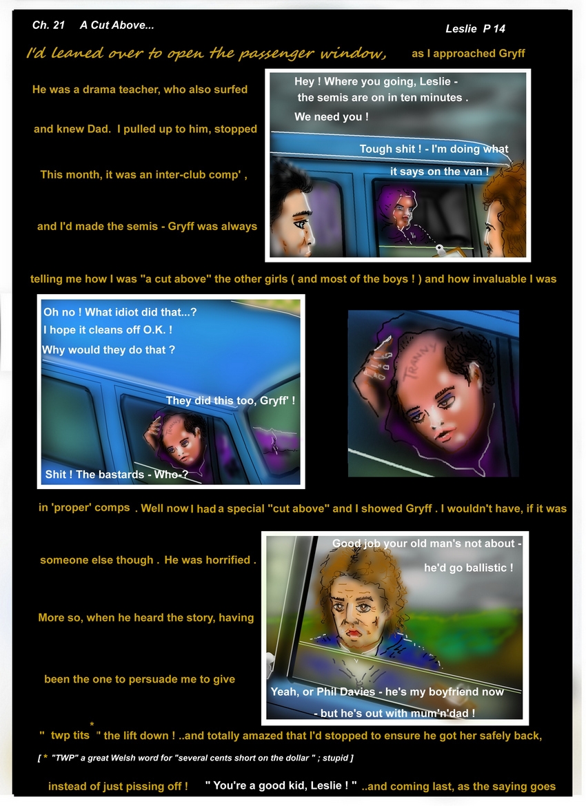 Ch. 21  " A Cut Above.."Leslie  Page 14   " What idiot did that ?  "