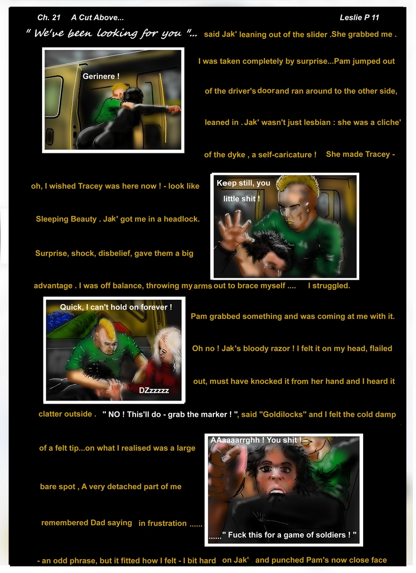 Ch. 21  " A Cut Above.."Leslie  Page 11   " We've been looking for you...  "