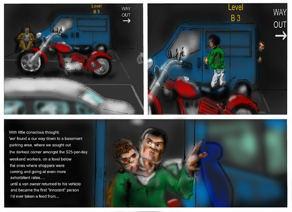 Innocent victim ; desperate fugitive