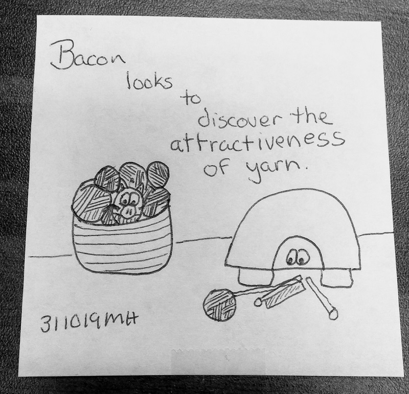 Yarn Discovery - 1