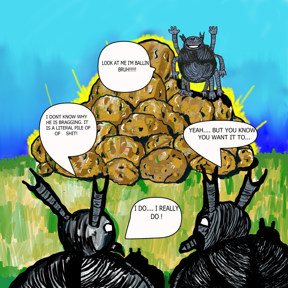 Dung Beetles!