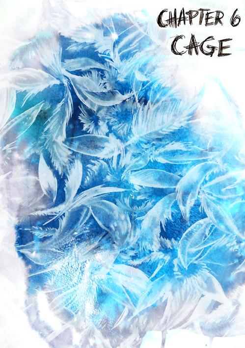 Chapter 6 : Cage