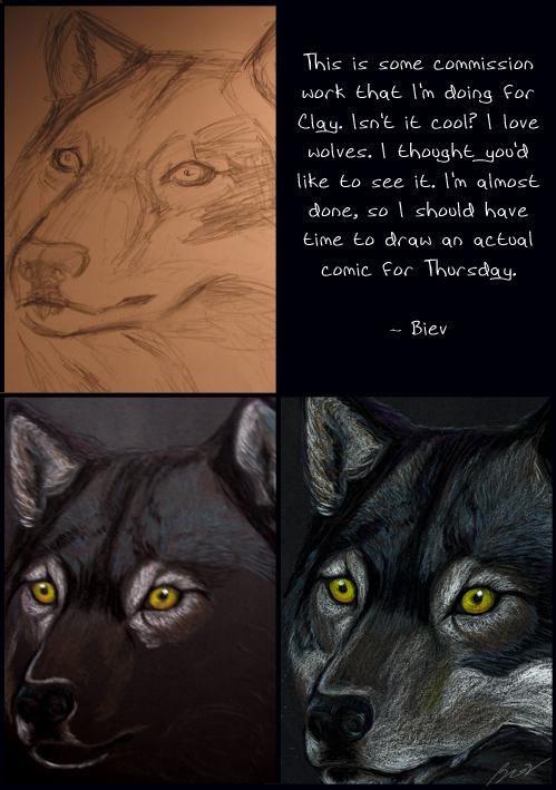 Commission work : wolf