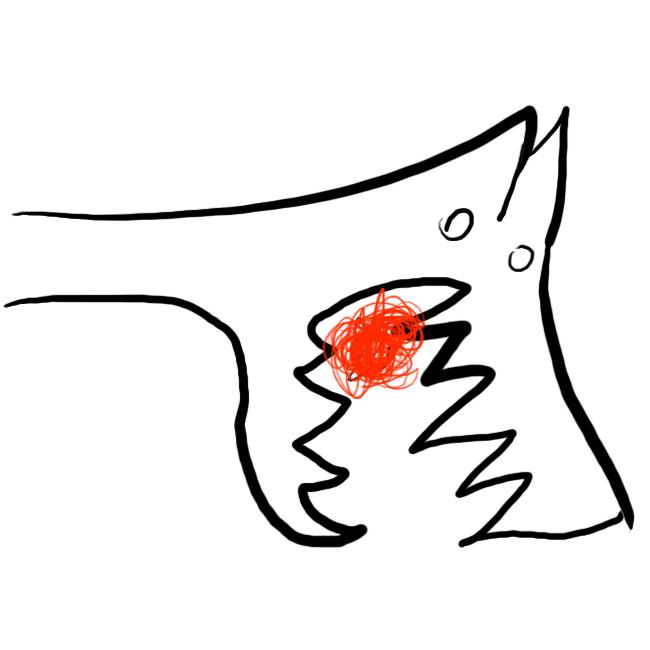 63