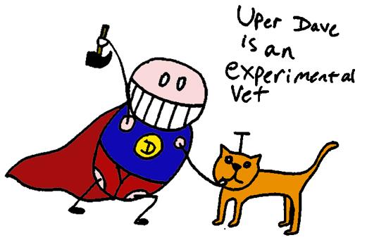 Needs Veterinary Practice