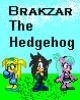 Go to 'Brakzar the Hedgehog' comic
