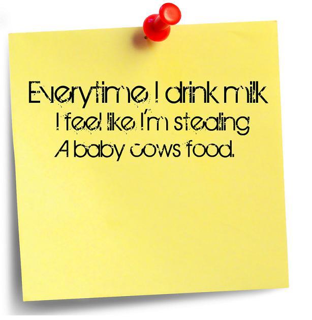 Baby Cow
