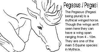 Unicorn Species : Pegasus