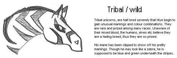 Unicorn species: Tribal / Wild