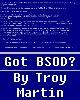Go to 'Got BSOD' comic