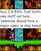 Blitz The Hedgehog