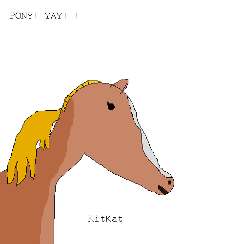 Kitty man: Pony.    YAY.