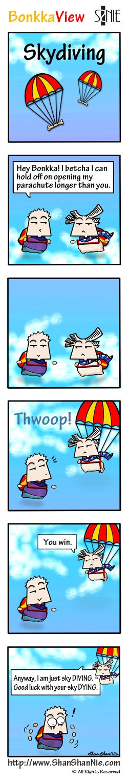 BonkkaView - Skydiving