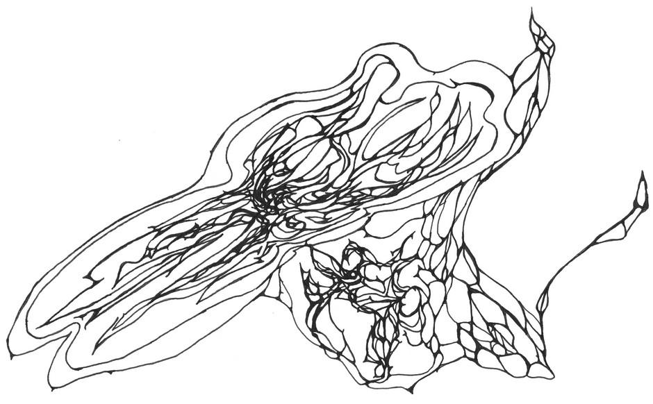 Spidery
