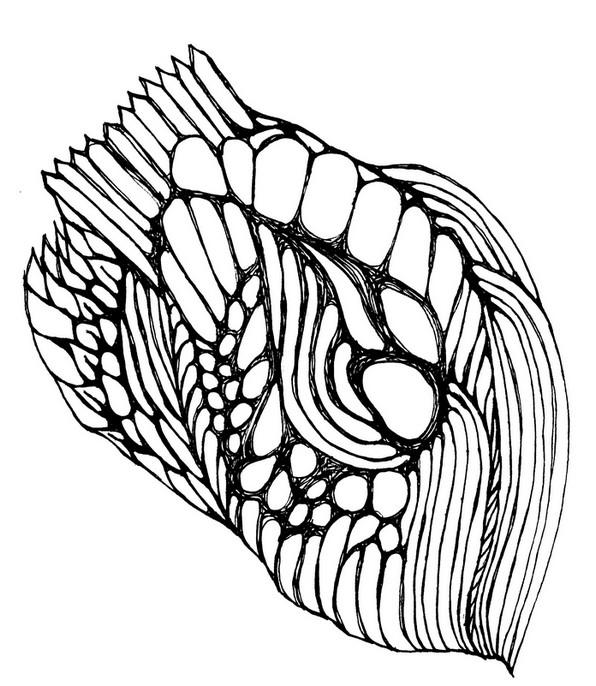 Doodleheart