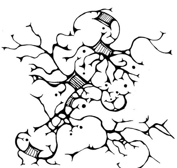 Crazy Doodle
